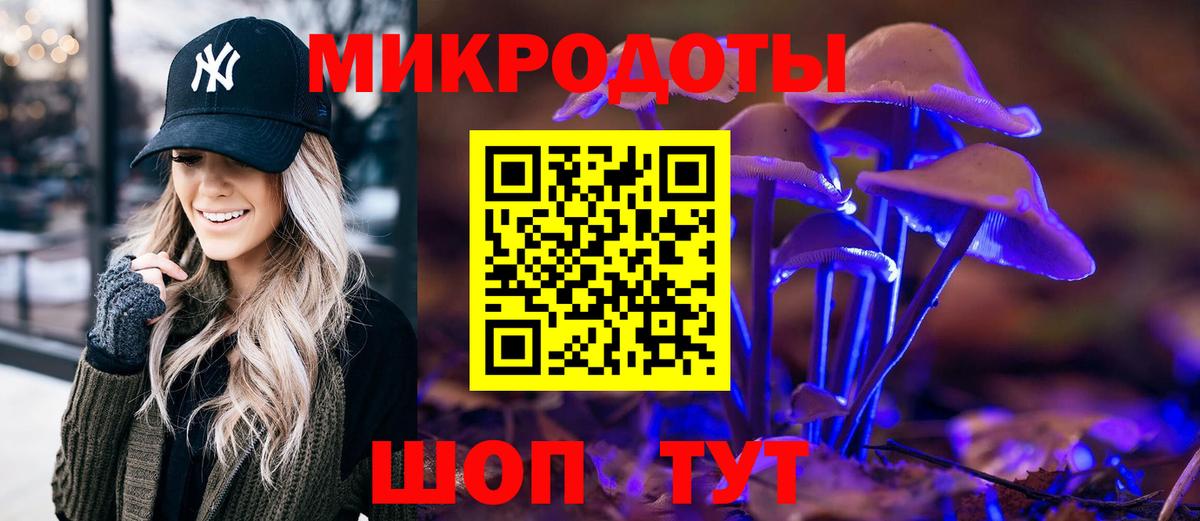 Псилоцибиновые грибы Psilocybine cubensis Томск