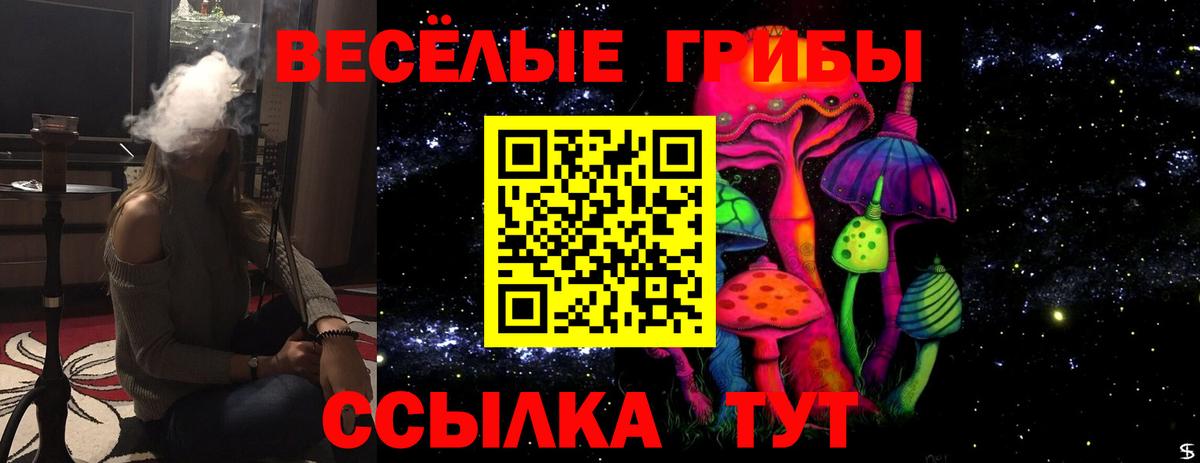 Галлюциногенные грибы мицелий  Вход с VPN  Томск  Галлюциногенные грибы прущие грибы 