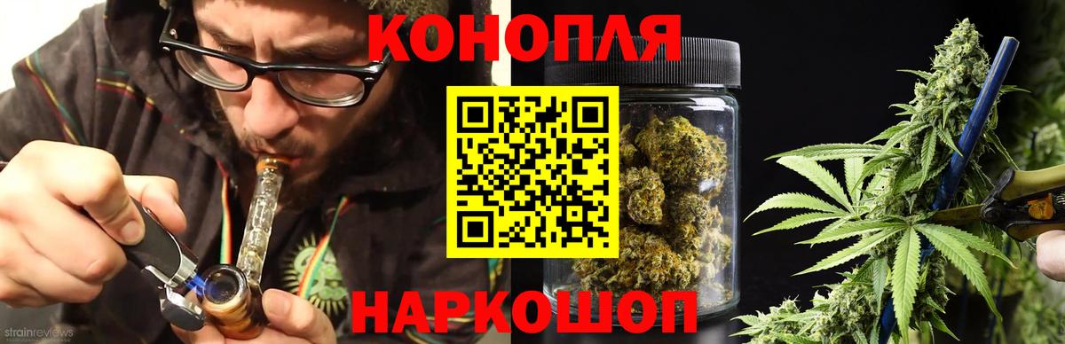 Бошки марихуана конопля Томск
